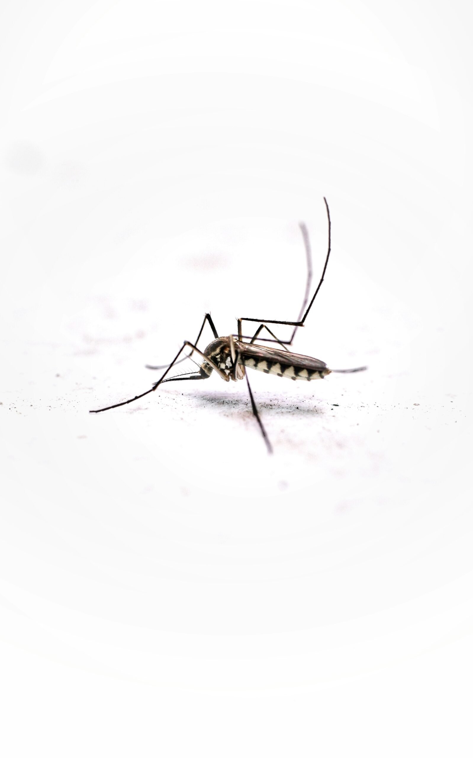 Harnessing Technology for Superior Mosquito Control